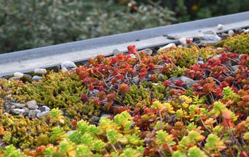 the cost of Port Talbot green roof installation