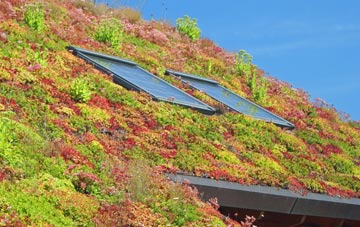 Port Talbot living roof systems