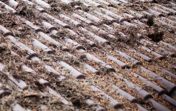 Port Talbot roof cleaning companies