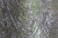 Port Talbot fibreglass roof work